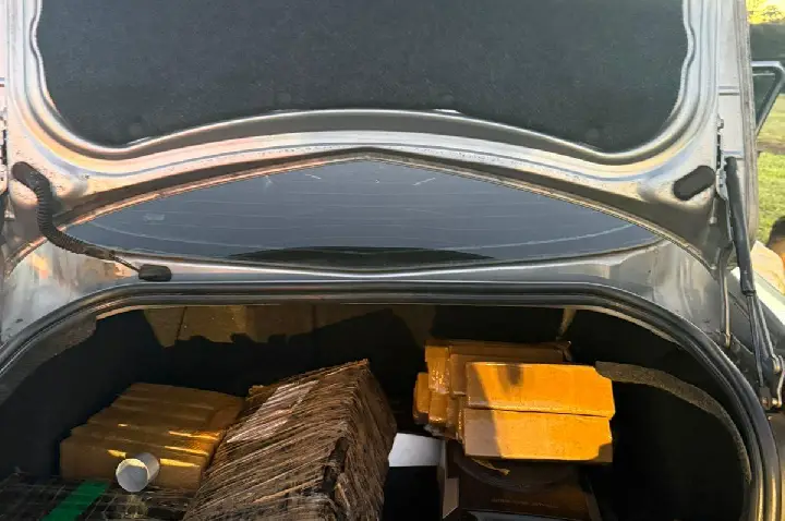 ROTAM APREENDE MAIS DE 150 KG DE MACONHA NA BR-277 EM GUARAPUAVA