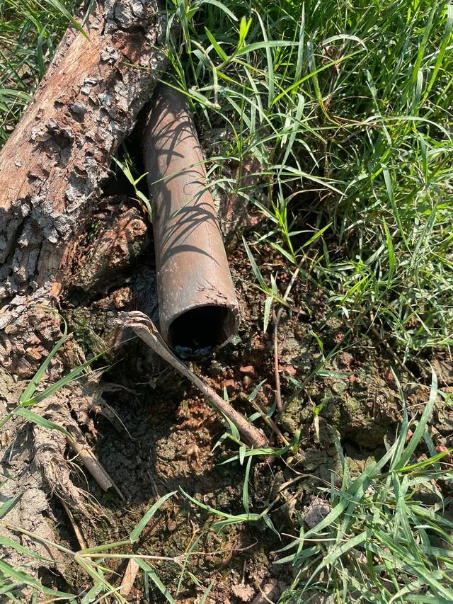 Empresário é preso suspeito de despejar fezes de porcos em rios em Toledo, diz polícia
