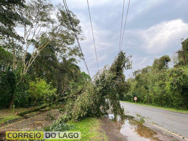 Quedas de &aacute;rvores em Santa Helena