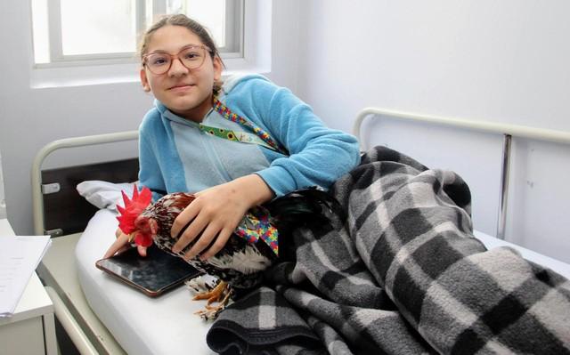 Menina com autismo consegue autorização para ficar com galo de apoio emocional em hospital durante internação da mãe