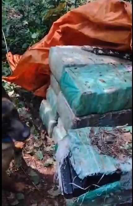 BPFRON , Polícia Civil e Polícia Federal apreendem drogas em Santa Helena-PR
