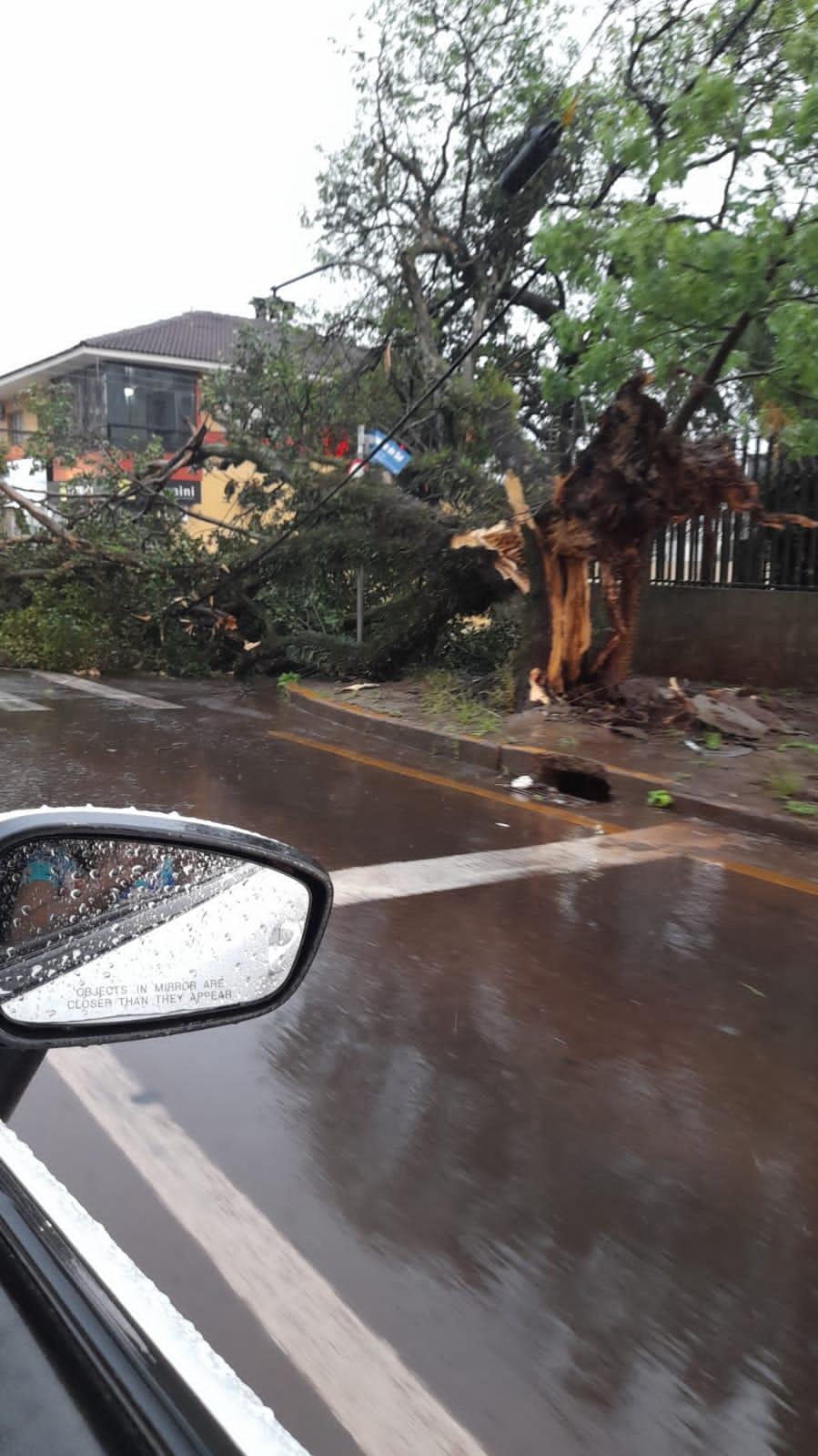 Temporal destelha casas e derruba postes e árvores em Cascavel