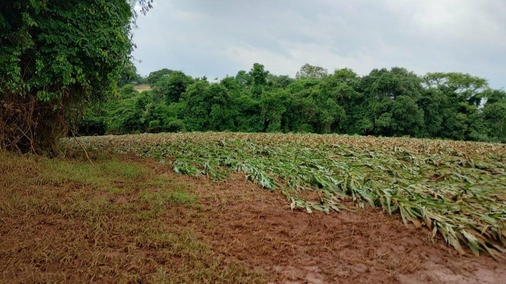 Enchentes: Prejuízo na área rural de Dois Vizinhos foi de R$ 20 milhões, aponta relatório