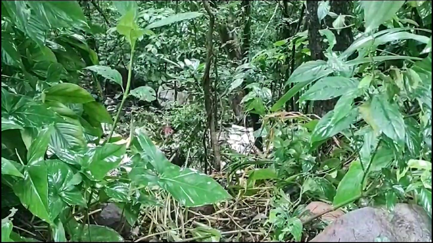 Mulher com deficiência é encontrada morta com sinais de abuso no Paraná