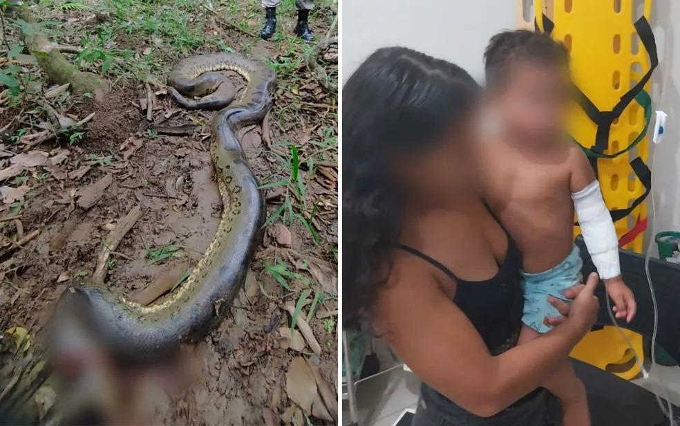 Sucuri de aproximadamente 6 metros ataca criança que brincava às margens de rio em Goiás