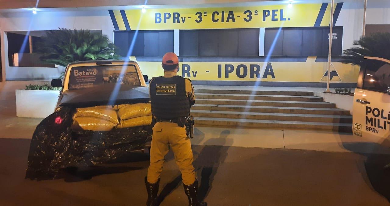 BPRv efetua prisão de condutor transportando sementes de milho contrabandeadas