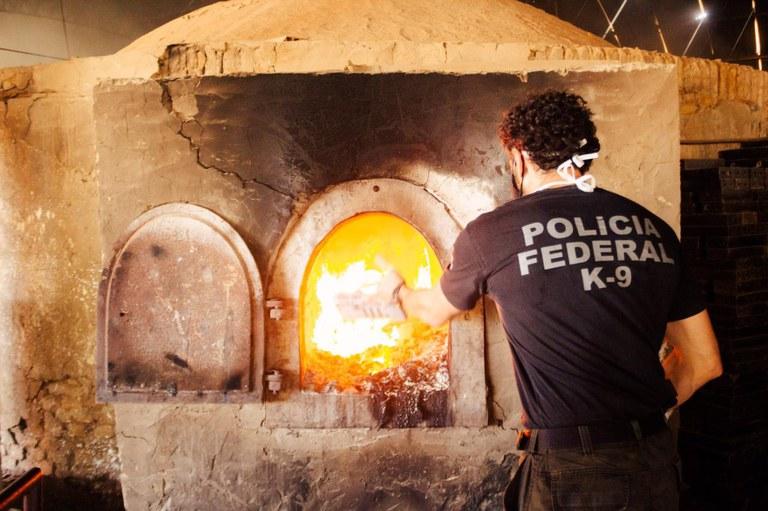 PF incinera quase duas toneladas de entorpecente
