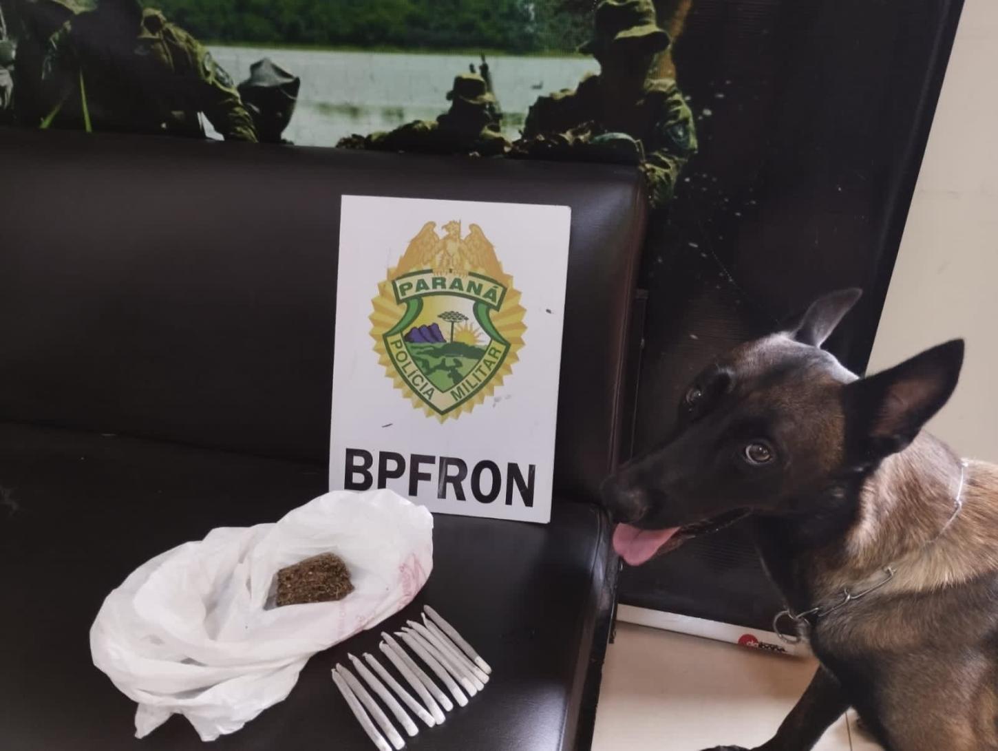 BPFRON prende drogas em ônibus na cidade de Umuarama-PR