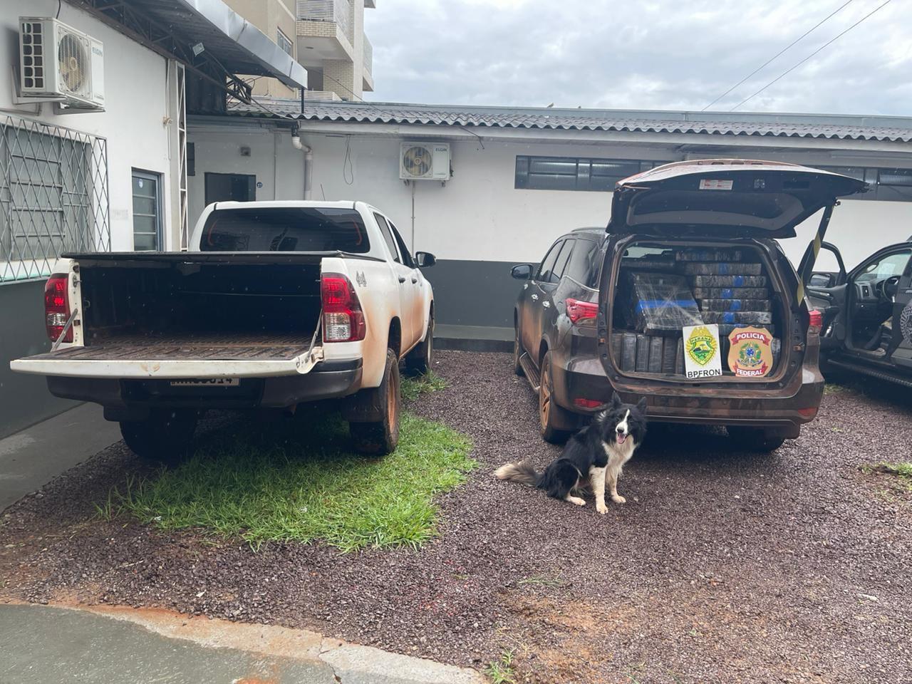Em duas caminhonetes são localizados 2.269 kg de maconha em Cascavel