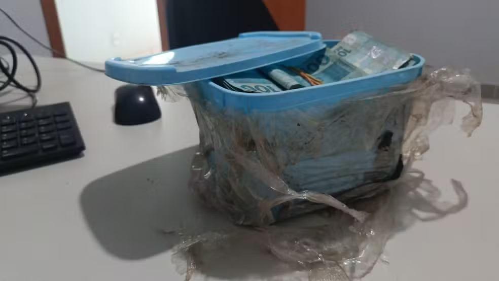 Aposentado encontra R$ 60 mil enterrados em pote de sorvete ao limpar jardim de casa que comprou