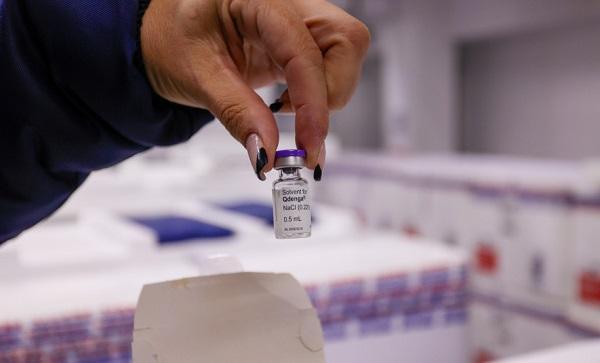 O último boletim da dengue registra 260.517 casos confirmados e 171 óbitos no Paraná