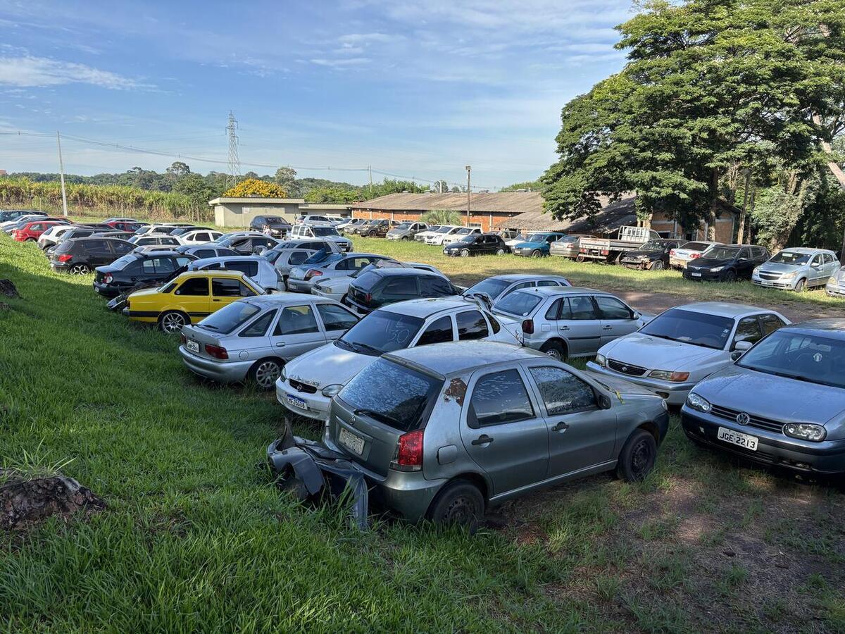 Guarda Municipal realiza entrega de veículos arrematados em leilão