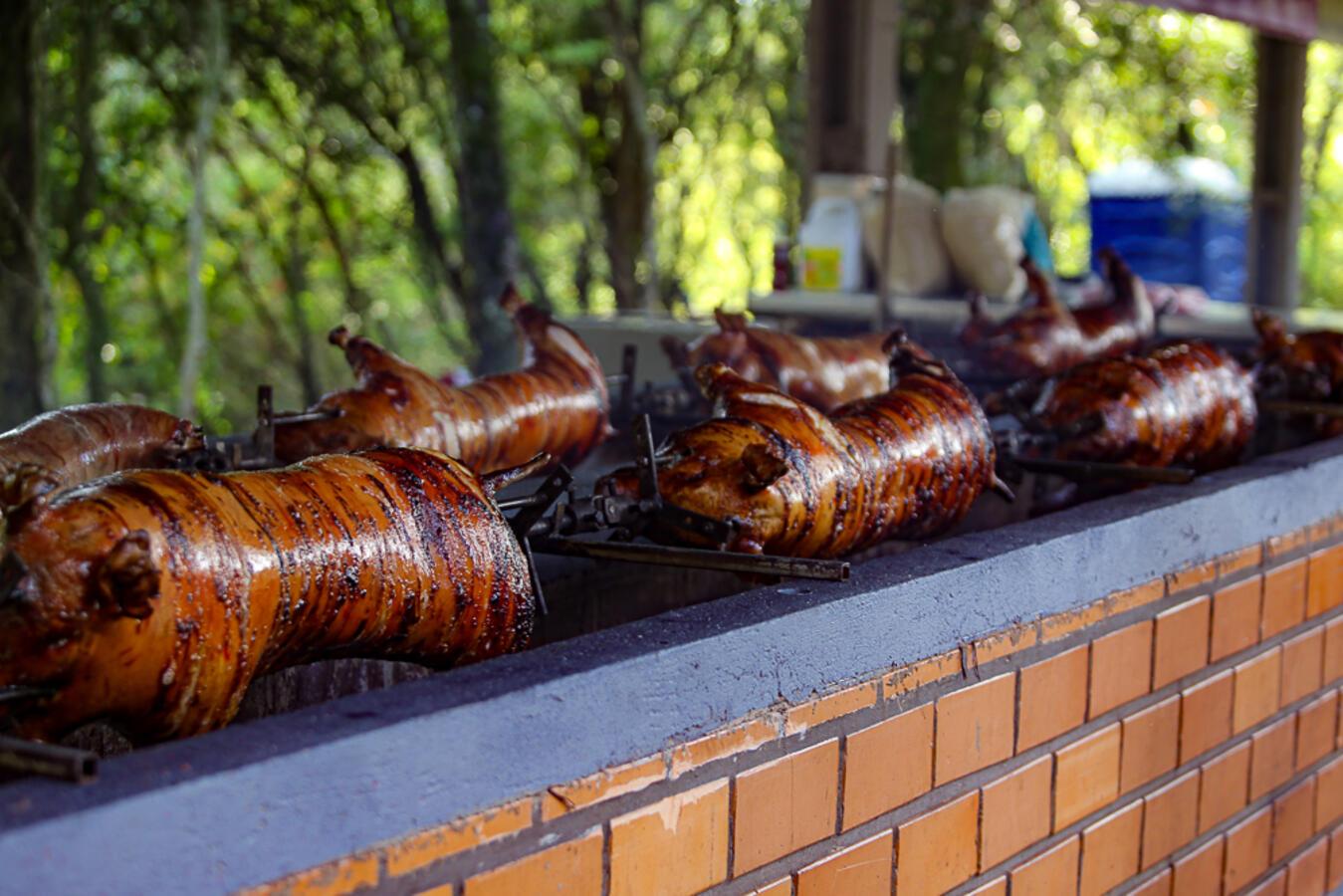 Toledo é referência em festas gastronômicas no campo e na cidade