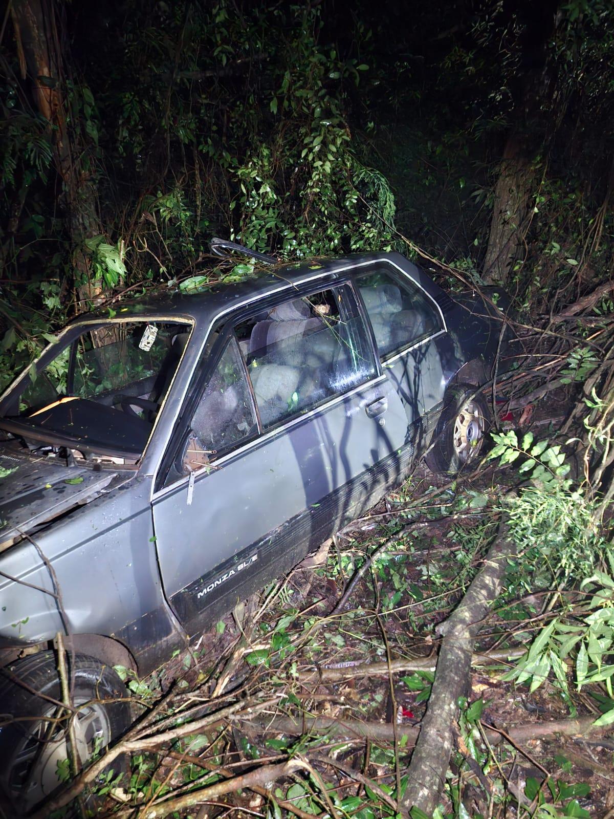 Motorista fica ferido após sair da pista e bater contra árvores na PR-364, em Palotina 